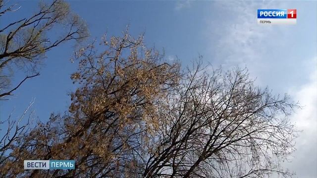 В Прикамье действует штормовое предупреждение смотреть онлайн