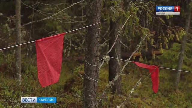 Рядом с Пряжей охотники застрелили волка смотреть онлайн