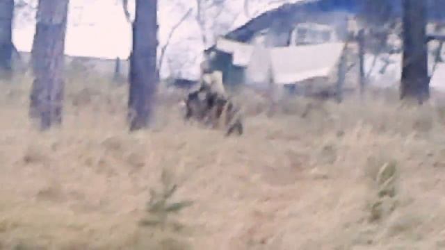 Ттр 125 смотреть онлайн