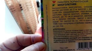 Многолетние Цветы "ЛАВАТЕРА ТЮРИНГЕНСКАЯ". Посев Семян на Рассаду.  24 марта 2021г.