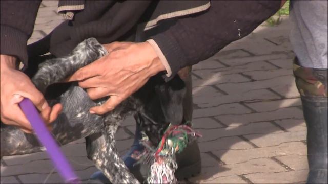 Холли смотреть онлайн