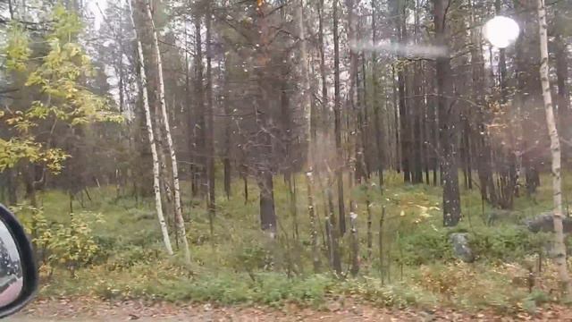 Дорога на Верхнетуломский 15.09.16 смотреть онлайн