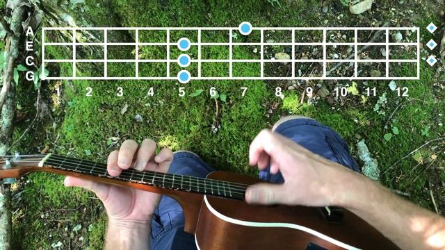 ribbit // ukulele tutorial смотреть онлайн