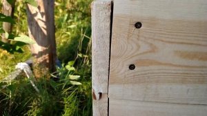 Простая будка для собаки