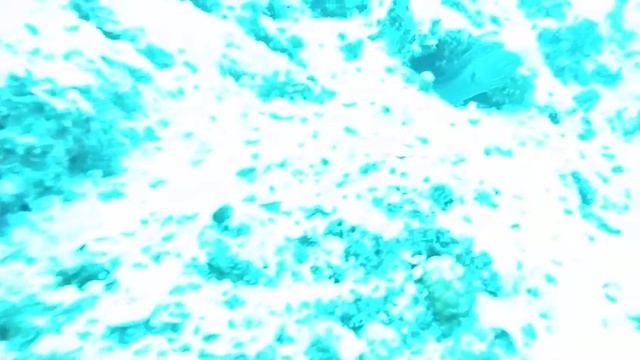 Рыба камень и муренка смотреть онлайн