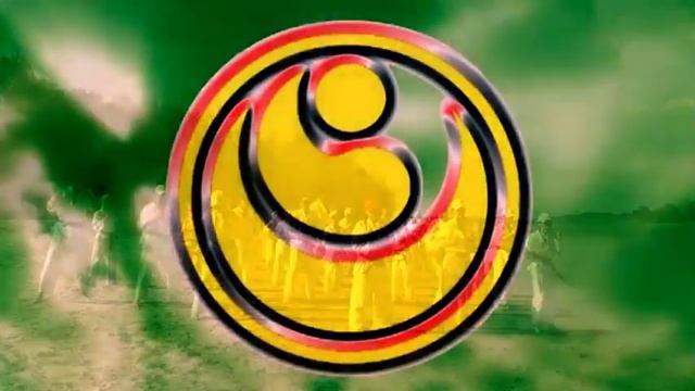 Шинкиокушин(СЦРОКК-2009)