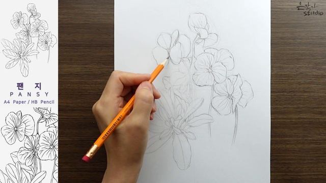 Flower Drawing Pansy | 팬지꽃 연필 스케치와 전사과정 | 꽃그림 배우기 смотреть онлайн
