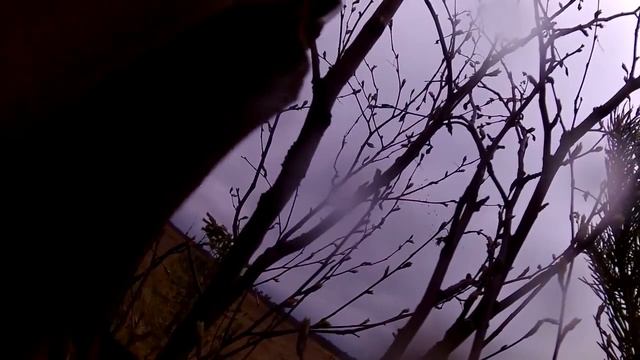 Охота на гуся с профилями North Way Soft Plast и Soft Plast Живое Перо смотреть онлайн