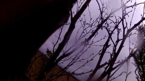 Охота на гуся с профилями North Way Soft Plast и Soft Plast Живое Перо