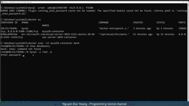 04-Working with MySQL Docker container | image смотреть онлайн