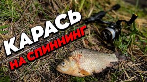 КАРАСЬ на СПИННИНГ - это просто. Приманки, проводки, секреты. Мормышинг на малой реке