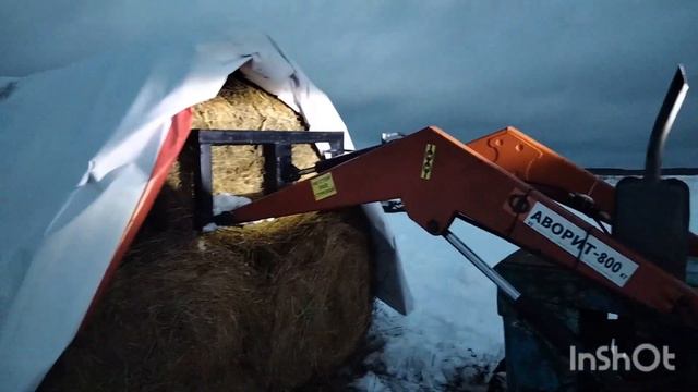 Зимнее кормление КРС Герефорд,обзор кормушек смотреть онлайн