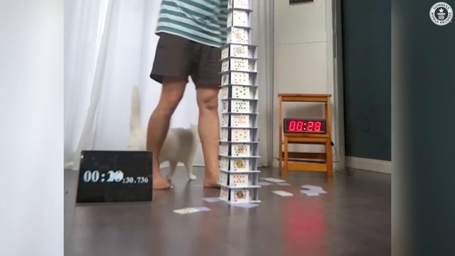 Tallest House of Cards Built - Guinness World Records смотреть онлайн