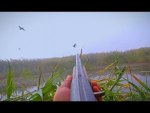 Охота на утку. Разведка секретного места. Охота на уток 2018. МР-153