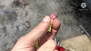 Установка автоматического доводчика окон Kia Rio X-Line/ Rio 4. Его функции