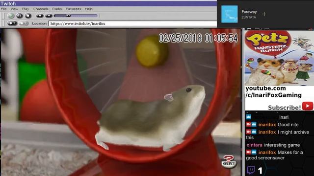 Twitch Stream: An hour and 39 minutes of Petz Hamsterz bunch on the PSP смотреть онлайн