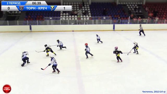 22.04.22 ТОРНАДО (Чистополь) - МЕНЗЕЛИНСКИЕ КРЕЧЕТЫ (Мензелинск) LIVE 15:00, 2013-14 гр. смотреть онлайн