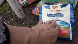 Чем подкормить виноград. Первая корневая подкормка весной.