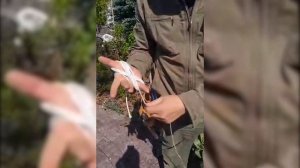 Как смотать веревку чтобы она не спутывалась