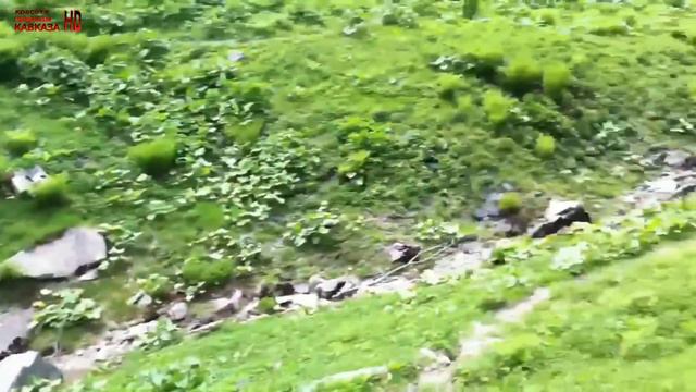 Прогулки по кавказским хребта. Walks on the Caucasian ridges смотреть онлайн