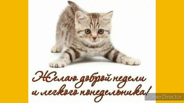 Солнечный понедельник в ноябре ??? Благословенной недели ? Мирного неба ? Тепла и уюта в доме ? ?? смотреть онлайн