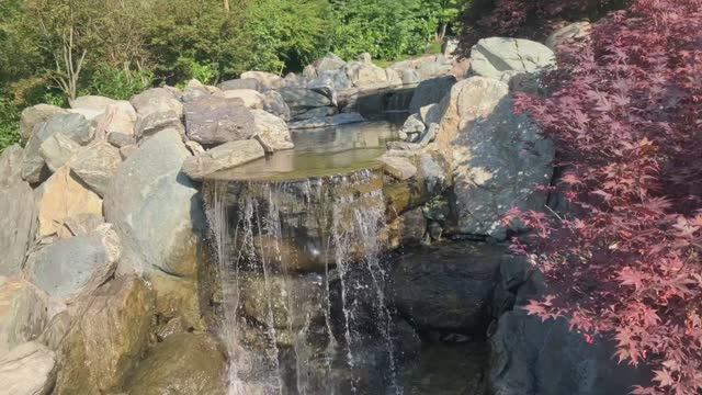 Водоёмы, ручьи, водопады и карпы в Японском саду парка Краснодар смотреть онлайн