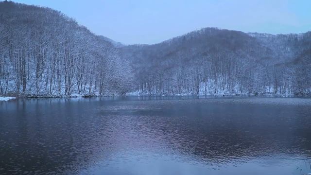 8  Преподобный Иосиф Исихаст ️ Письма