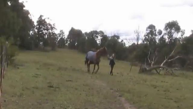 Accident With Skeleton - I NEARLY DIED смотреть онлайн