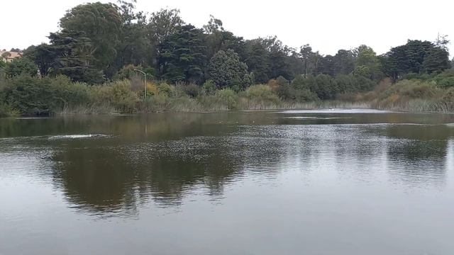 Mountain lake. Первый источник пресной воды в Альта Калифорнии .(3) смотреть онлайн