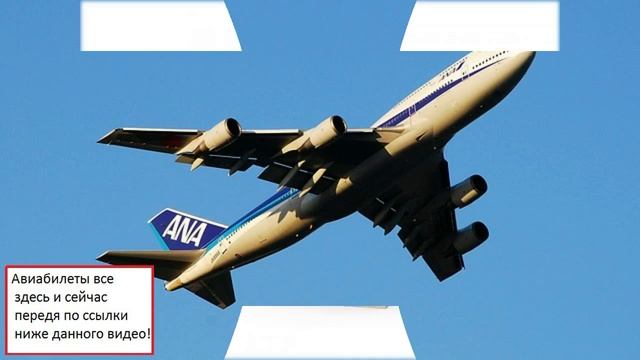 авиабилеты passbook смотреть онлайн