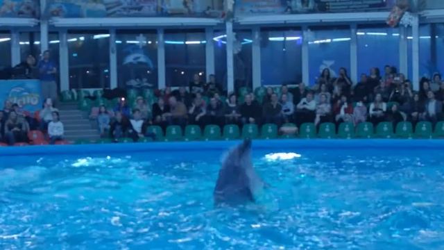 Новогоднее ночное шоу Минского дельфинария "Немо" 2018 смотреть онлайн