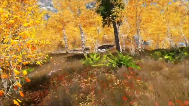 Skyrim VR смотреть онлайн