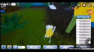 Идеи скинов ?Feather family? ||Roblox||