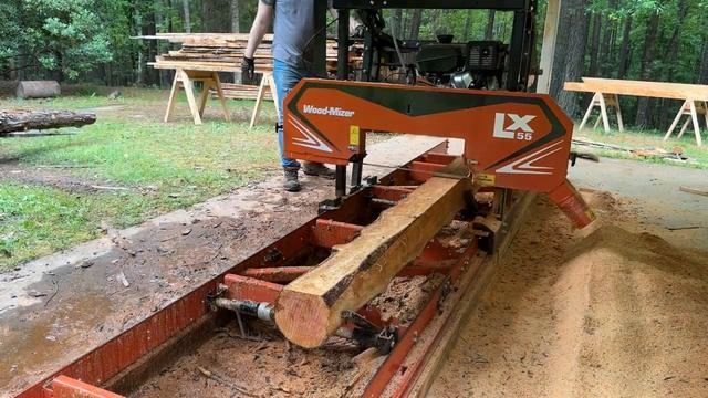 Пилим Кипарис на Американской Ленточной Пилораме Wood-Mizer LX55 | Bidun Vlog | Greenville, SC смотреть онлайн