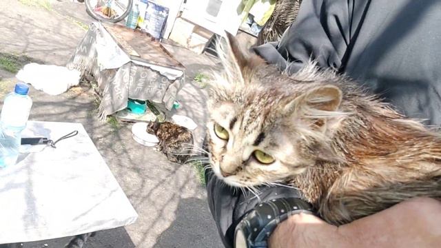 Тобби вышла на экскурсию смотреть онлайн