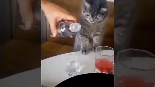 Пятничное смотреть онлайн