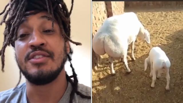 Sheep With BOOTY?? смотреть онлайн