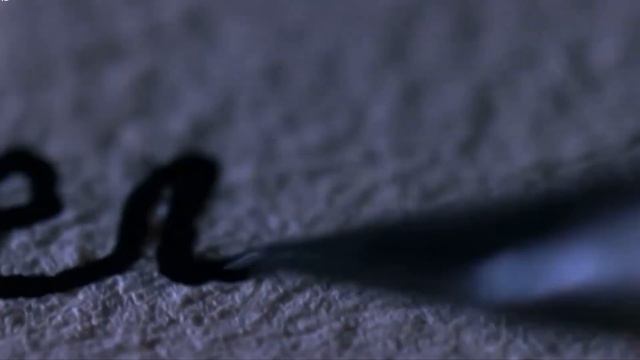 Буктрейлер к книге "Порхание в небытие" смотреть онлайн