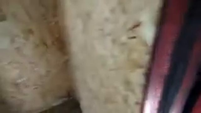 Тест обогревателей | Газ или электричество| Что лучше ??? смотреть онлайн