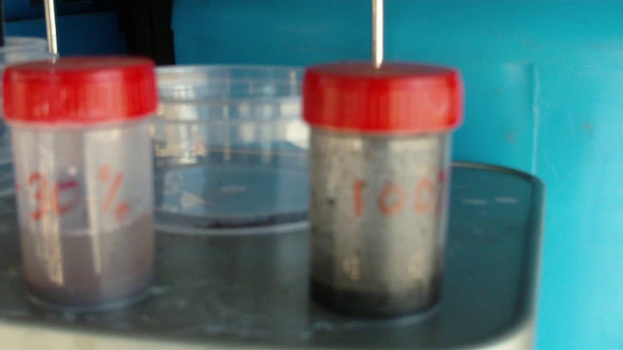 ITOZOR-SERVIS Ролик-1 Промывка радиатора рейсового автобуса.