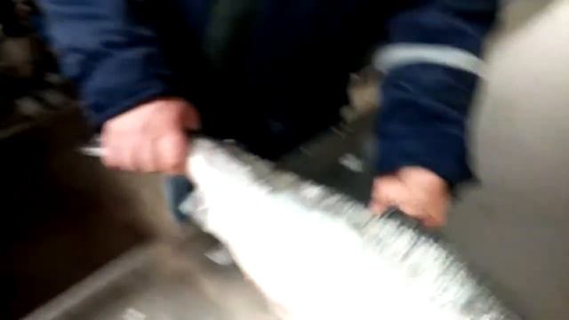 Головорекза для лосося смотреть онлайн