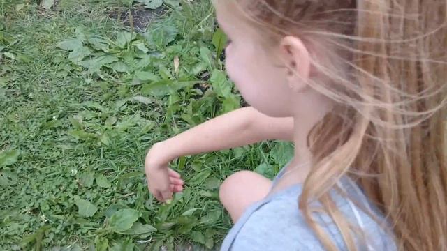 Мастерство в Искусстве