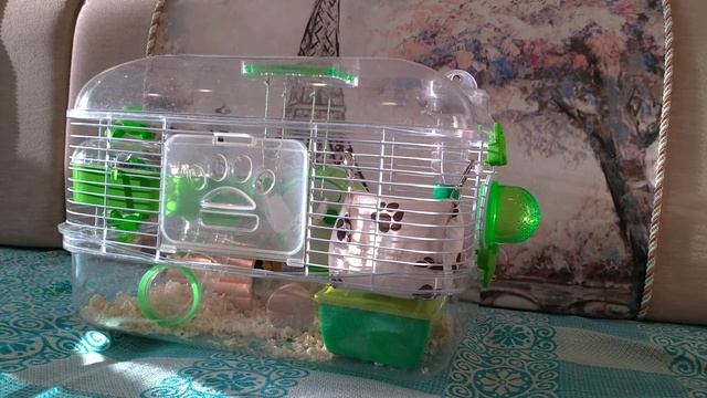 Как утеплить клетку хомяка смотреть онлайн