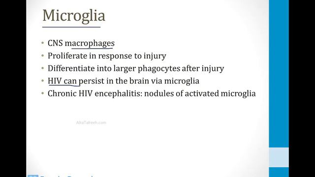 Neurology - 1. Introduction To Neurology - 1.Cells Of The Nervous System Atf