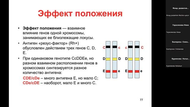 Биология для учителей | ГЕНЕТИЧЕСКАЯ ИНФОРМАЦИЯ | ВЗАИМОДЕЙСТВИЕ ГЕНОВ смотреть онлайн