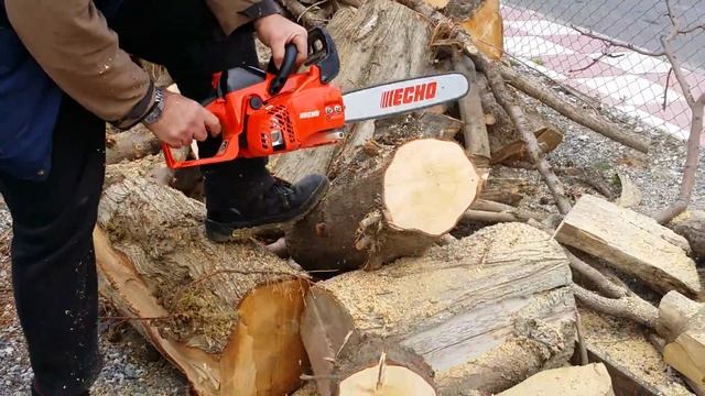 echo cs 361wes "nexus" смотреть онлайн