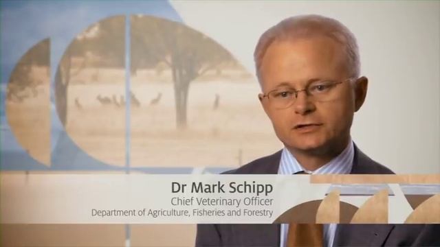 Harvesting of Kangaroo meat смотреть онлайн