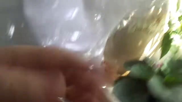 С Праздником Весны и Труда! ? ? ? ? ? ☕ смотреть онлайн