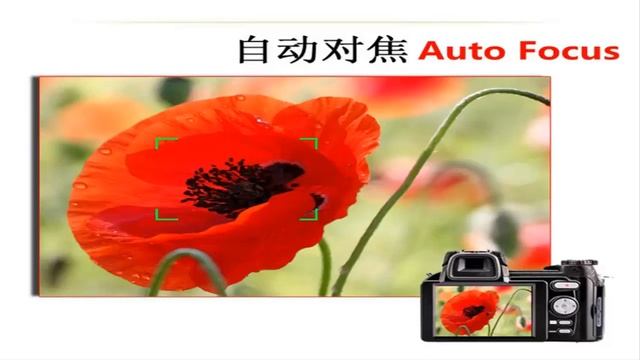 Camera 33 Million Pixel Auto Focus Camera Professional SLR Video Camera 24X Optical Zoom HD LED смотреть онлайн
