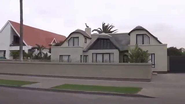 Африка, Намибия. "African Juniper" Walvis Bay, Namibia смотреть онлайн